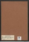Desmogonium rabenhorstianum Grun. (de-Toni-Nr.: Genus 71, Species 2701) Zeichnungen Sammlung Grunow Mappe 02920 (Herbarium_W_Grunow_drawings_Folder_02920)